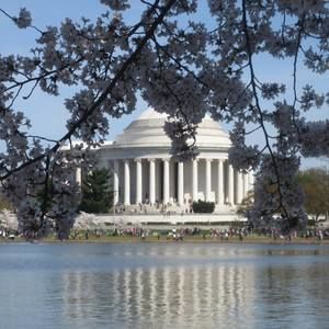 Meet your Posher, Jean